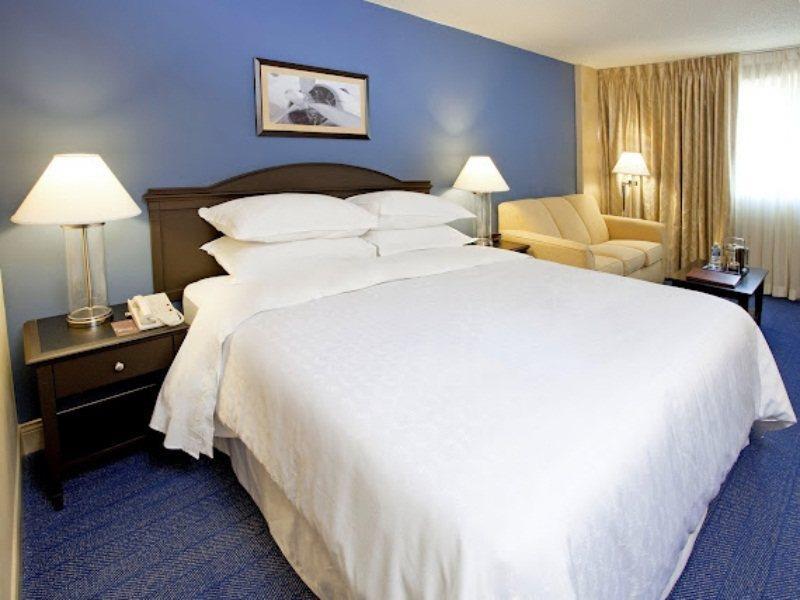 Sheraton North Houston At George Bush Intercontinental Δωμάτιο φωτογραφία
